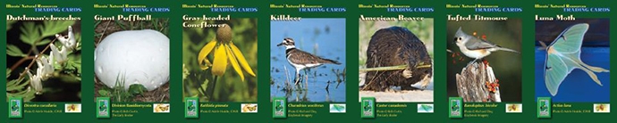 Trading Cards Banner