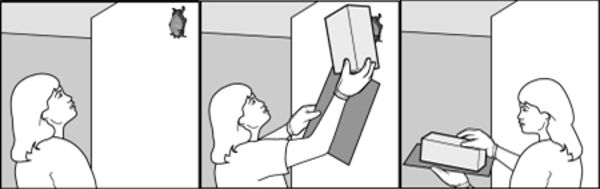 batremovalinstructions