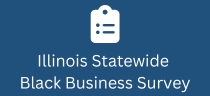 Illinois Statewide Black Business Survey