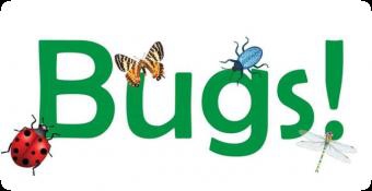 bugs_fb_event_pg_photo