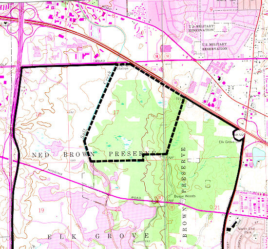 busse forest