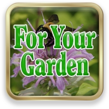 Link to For Your Garden