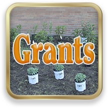 Link to Grants