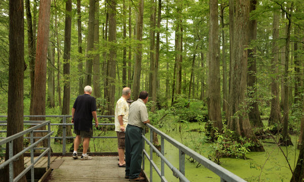 Cache River State Natural Area