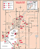 Carlyle Lake Site Map Small