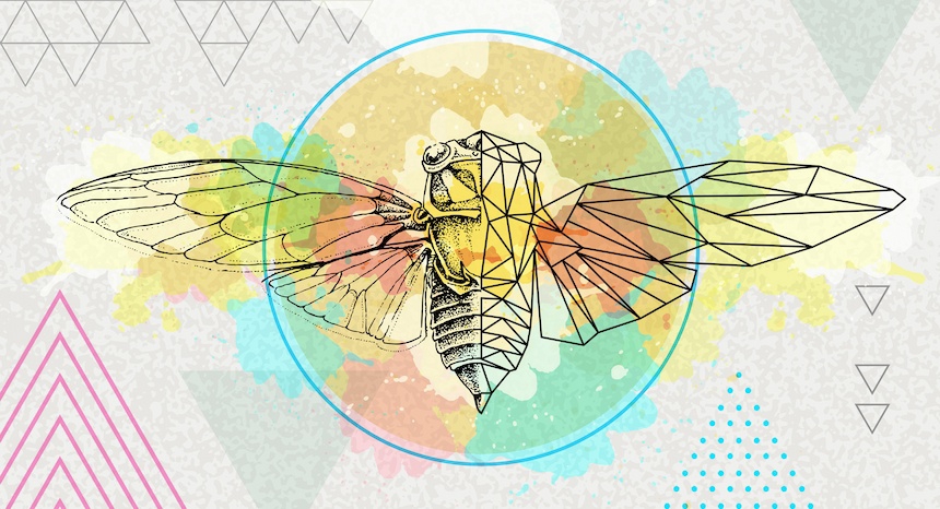 Graphic rendering of Cicada