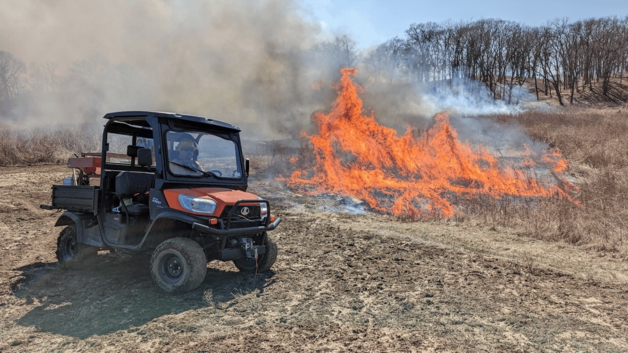 Photo courtesy of Jim Johannsen of Jo Daviess Conservation Foundation