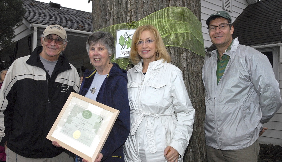 tree meeting group