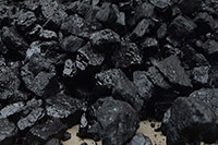 Coal