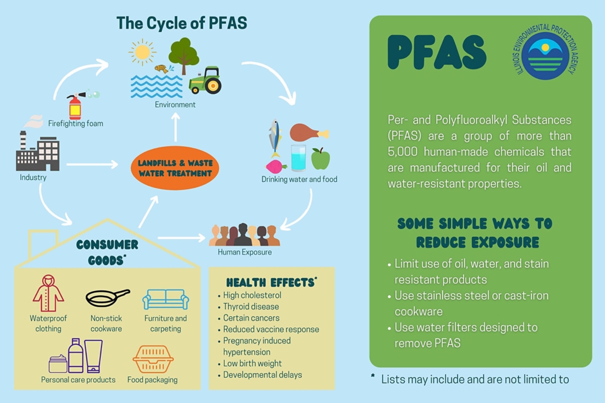 Ecology Center - New Ecology Center study shows cookware manufacturers  still use PFAS coatings on their nonstick products, despite claims that  their pans are free from certain PFAS chemicals. Read the report