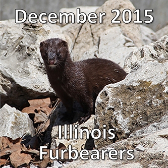 December 2015: Illinois Furbearers