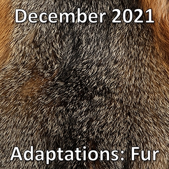 December2021