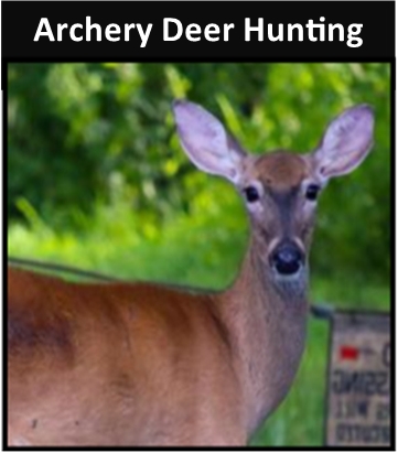 Archery Deer Hunting