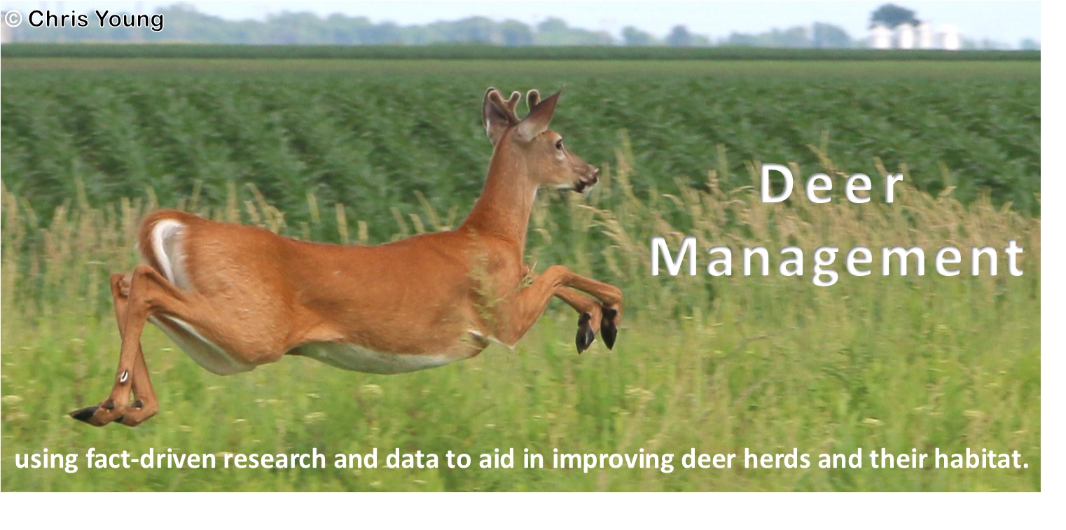 Deer Management image 2.png