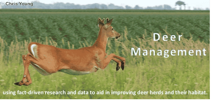 Deer Management image 2.png