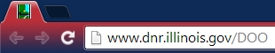 DOO in browser URL box