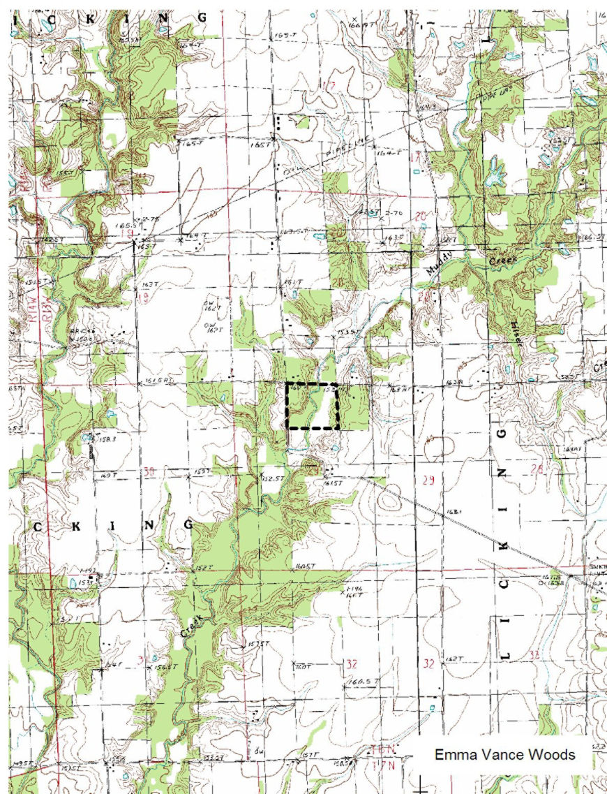 emmavance woods