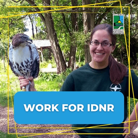 Work for IDNR