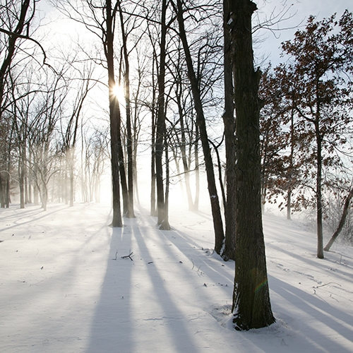 ENTICE Winter button