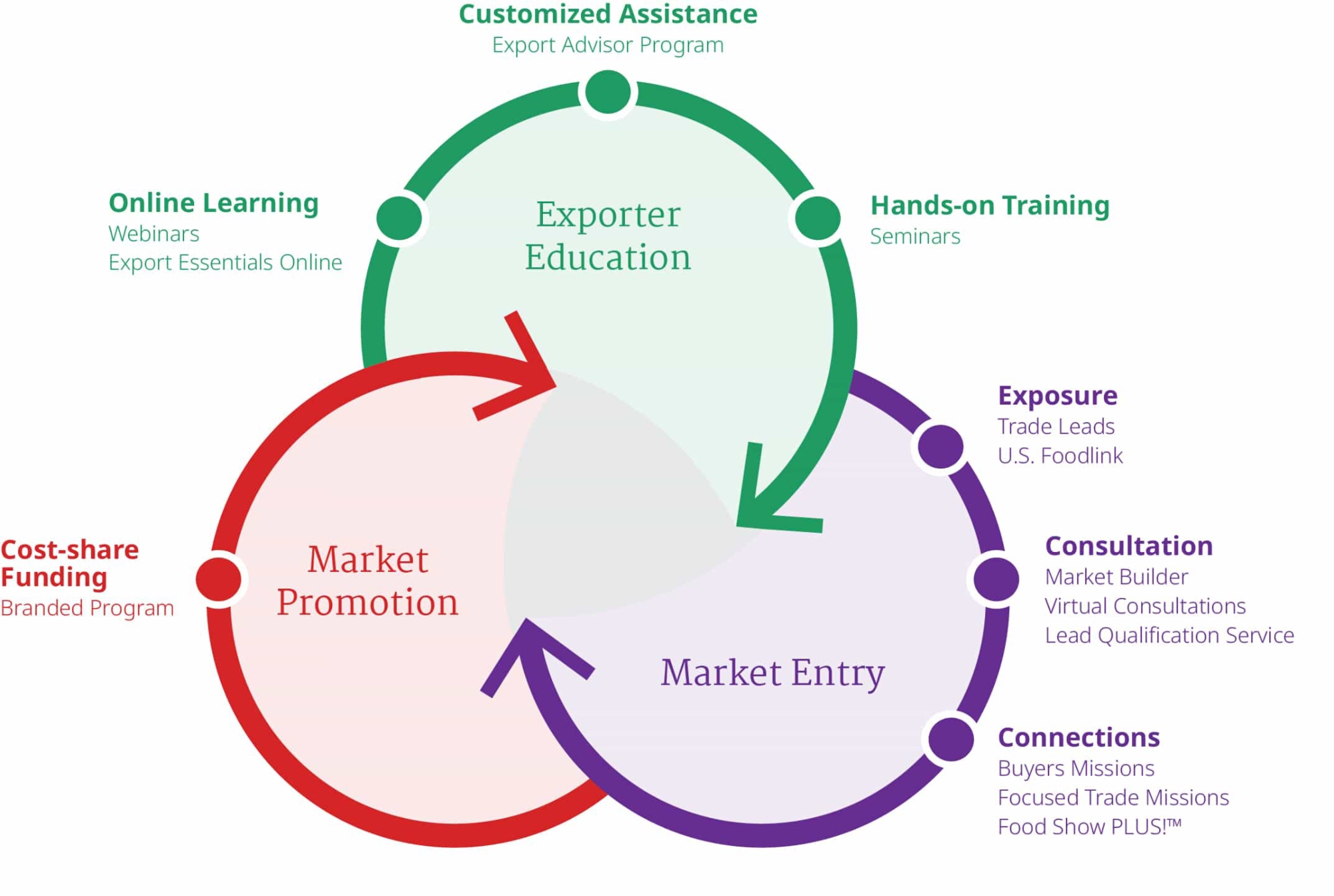 venn diagram of ,exporter information, market entry and market promotion