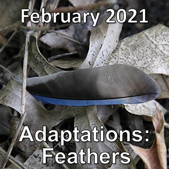 February2021