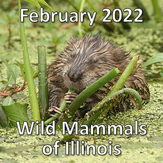 February2022