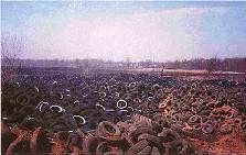 field of tires