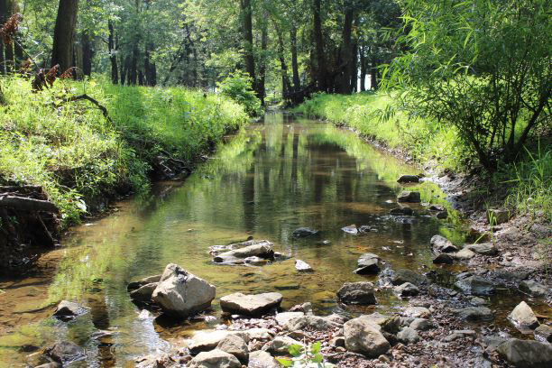 Fort Massac Creek Thumbnail Image