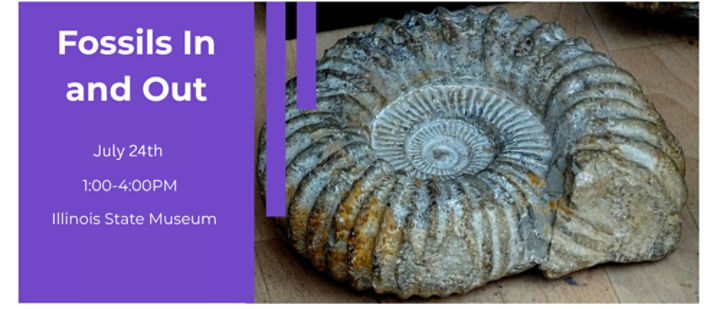 Fossils in and out! July 24th, 2026, from 1 - 4 PM 