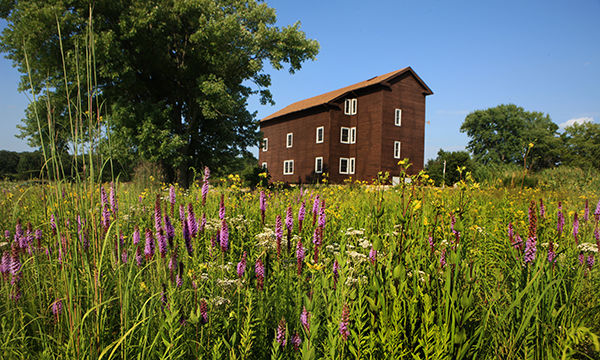 Franklin Creek State Natural Area