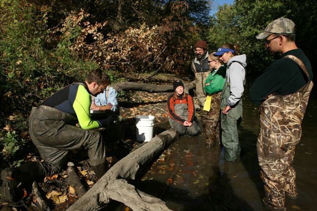Biologists sampling a stream for mussels.