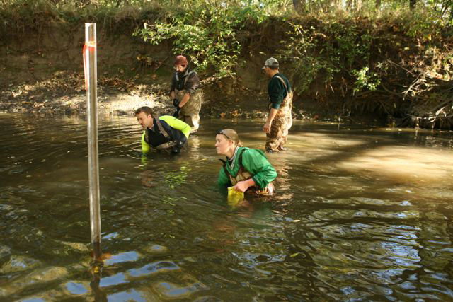 Biologists sampling a stream for mussels.