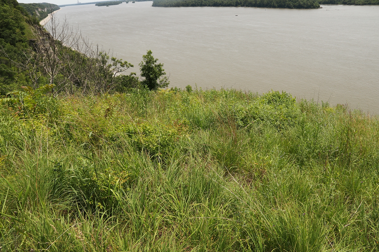 Hill prairie along Mississippi River south of Grafton illinois