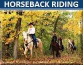 Horeseback Riding