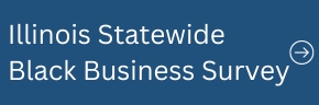 Illinois Statewide Black Business Survey
