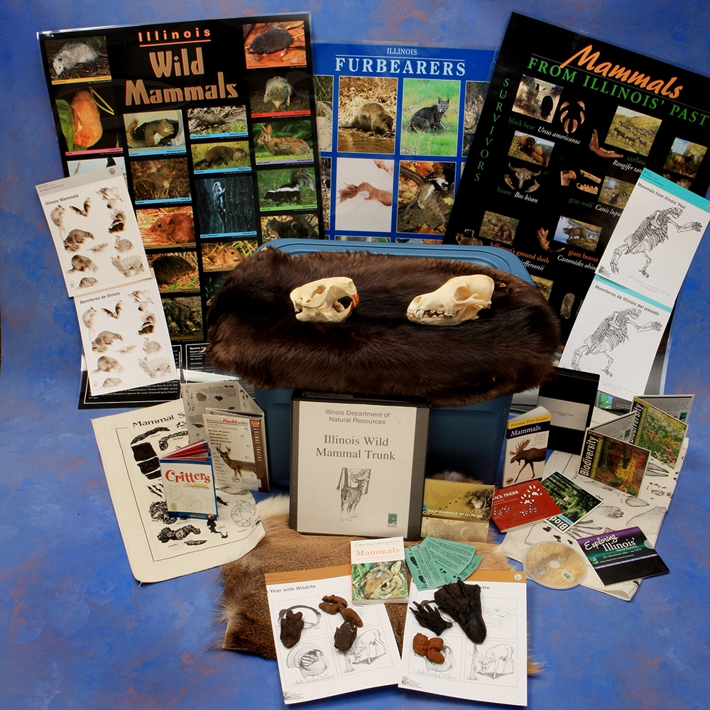 Illinois Wild Mammals trunk contents