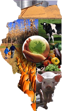 Illinois  A State Of Agriculture