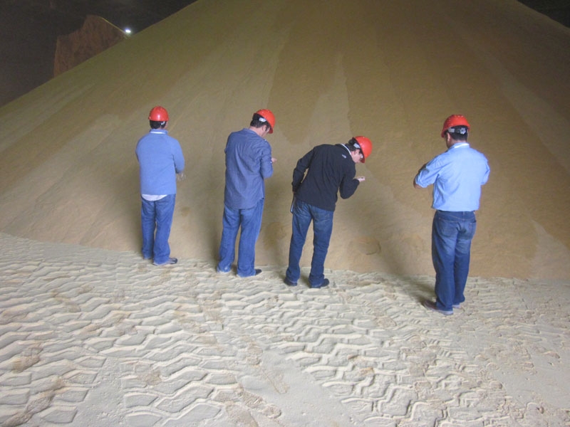  Grain Tour Picture Inspecting DDGs. 