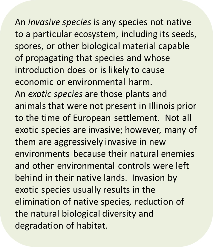 Definition of Invasive Species