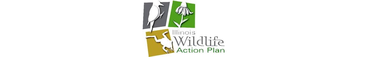 Illinois Wildlife Action plan logo