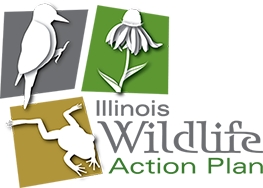 Illinois Wildlide Action Plan Logo
