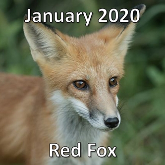 January2020