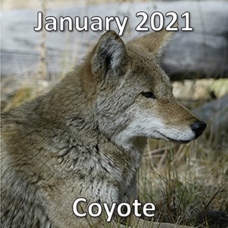 January2021.png