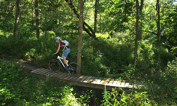 Jubilee College State Park