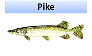 June2016Pike.PNG