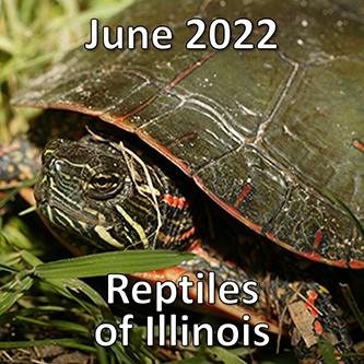 June2022