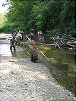 kickapoocreekfishsurvey