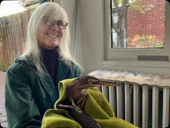 Nora Moore Lloyd holding a rescued American Bittern. (Photo: Adeline Sides)