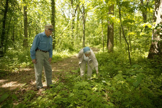 Bluebird volunteers on a trail in Lowden Miller State Forest.