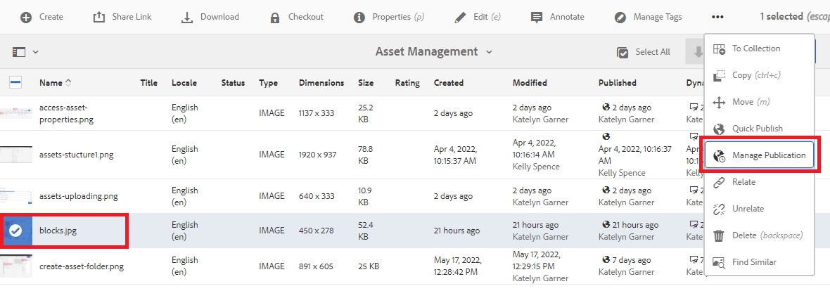 Manage Asset Publish Status